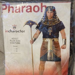 Men Halloween Costume. Plus Size Pharaoh Costume. Black and Gold.
